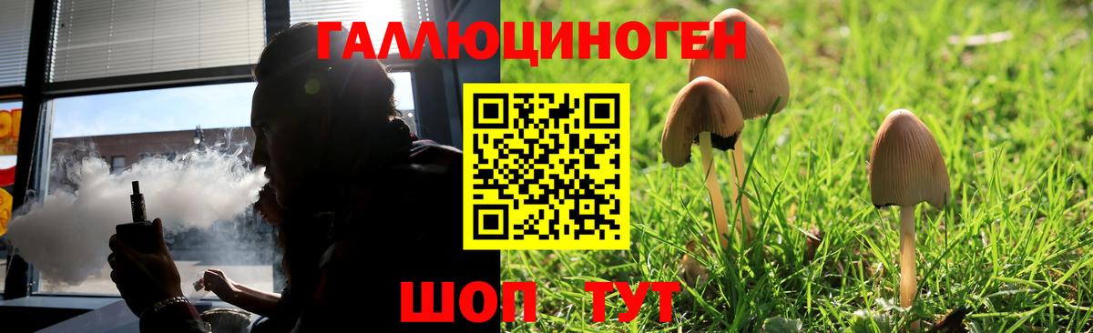 Галлюциногенные грибы GOLDEN TEACHER Заволжье
