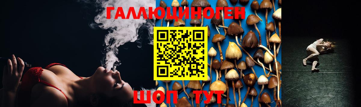 Галлюциногенные грибы Cubensis  Псилоцибиновые грибы GOLDEN TEACHER  Заволжье  Вход с VPN 